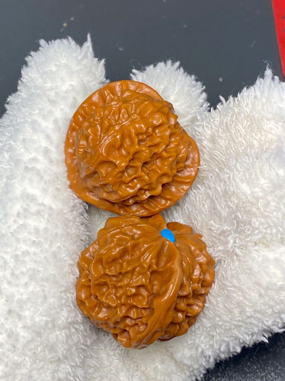 龙鳞核桃94人生巅峰的独宠小龙鳞 38小尺 桃心桩大肚油亮油亮