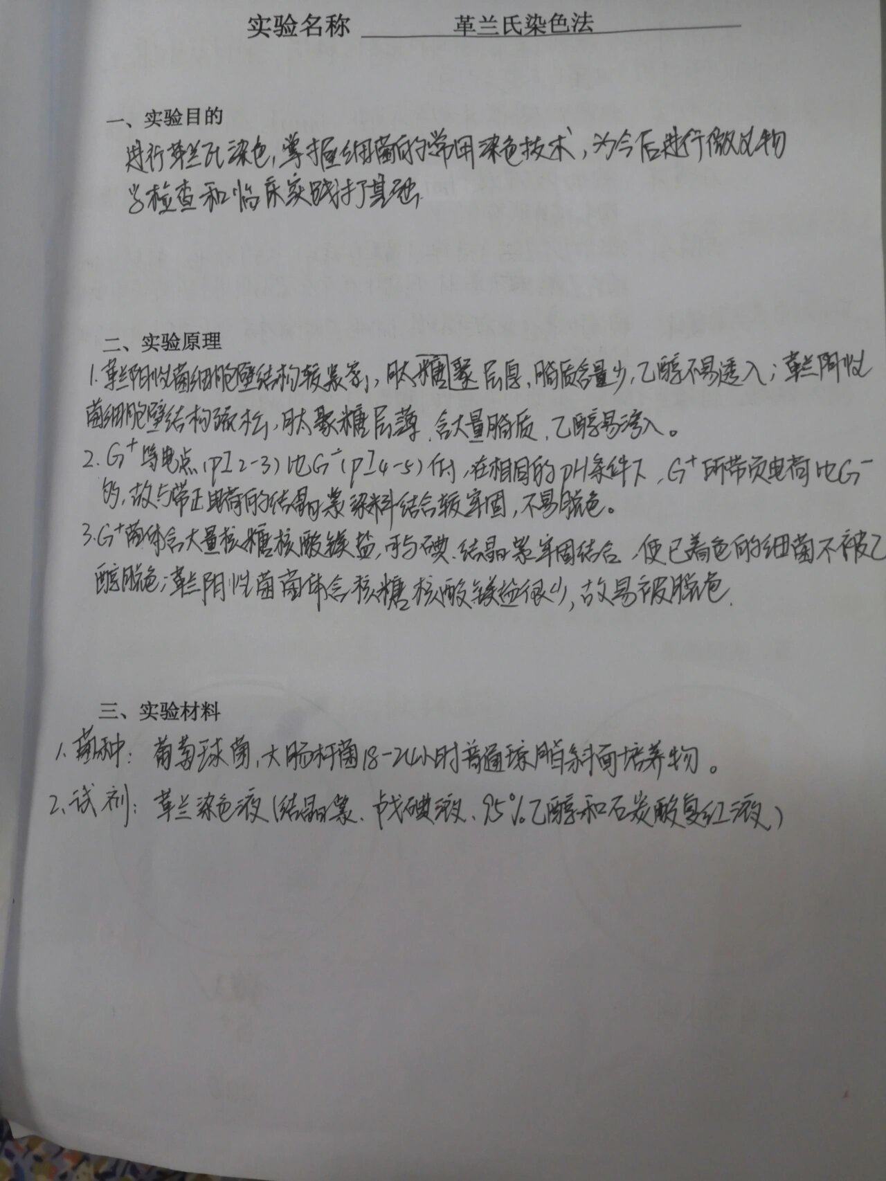 医学微生物学实验报告(1) 97革兰氏染色