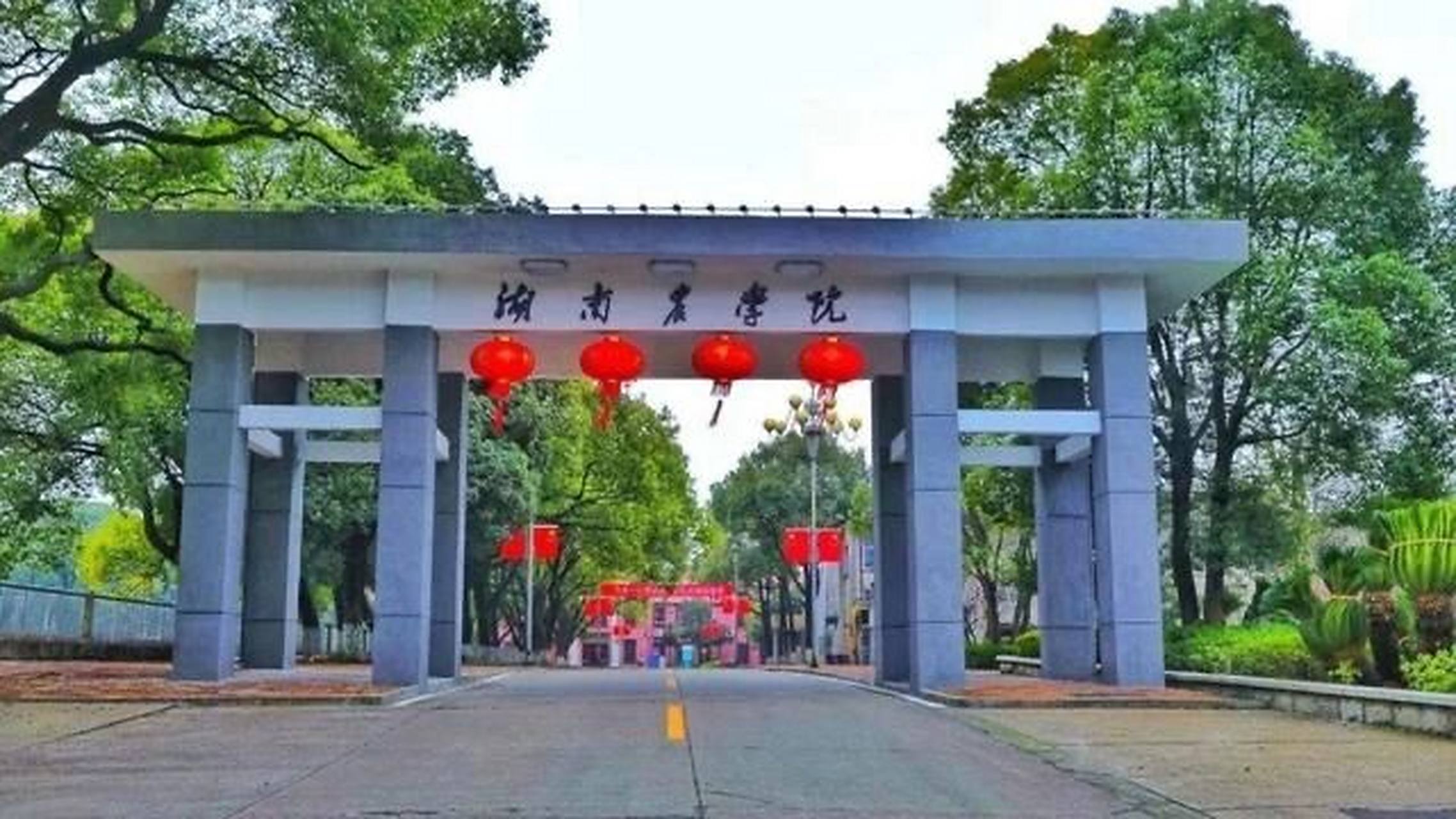 湖南农业大学报到证补办改派办理流程 毕业生《报到证》手续办理分