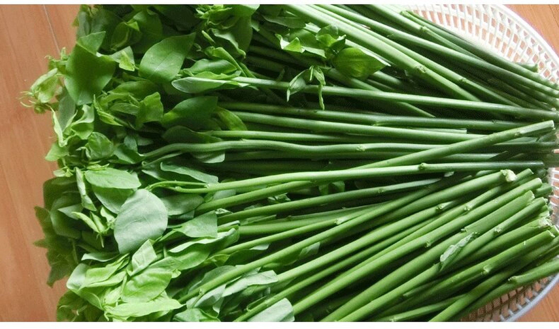 树仔菜 顺丰空运5斤海南三亚新鲜树仔菜革命菜天香绿热带蔬菜嫩叶甜菜