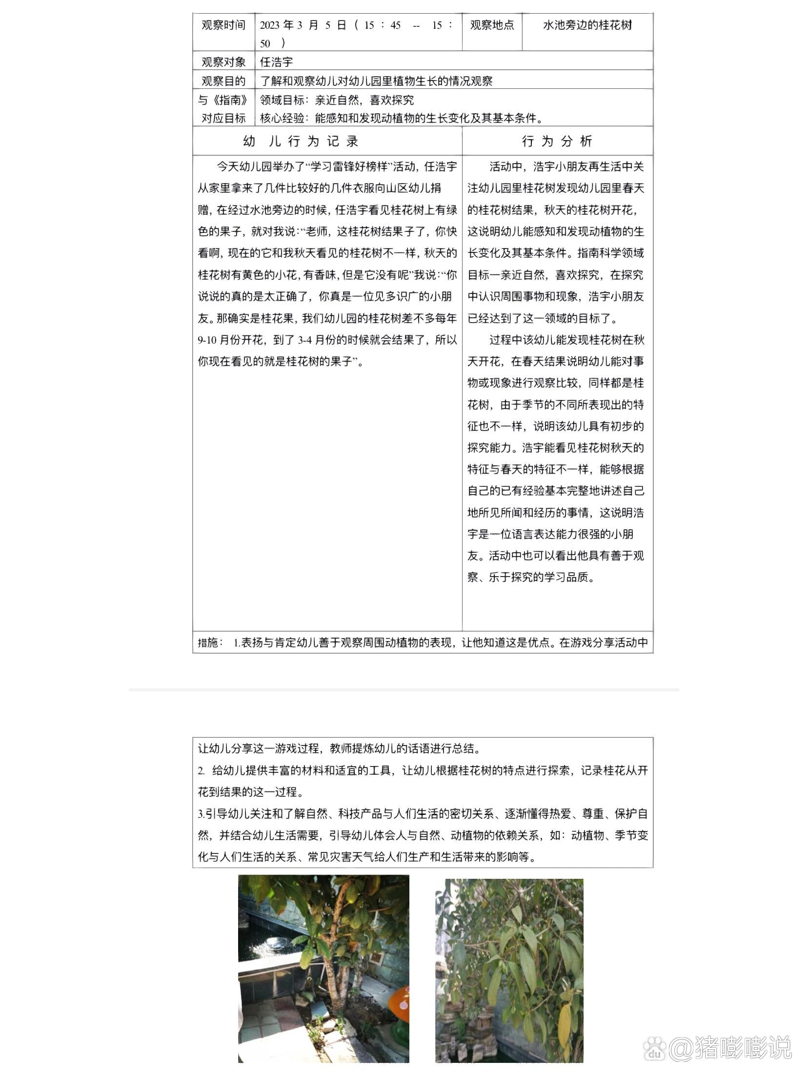 三年级植物观察记录表桂花(三年级植物观察记录表格及内容)