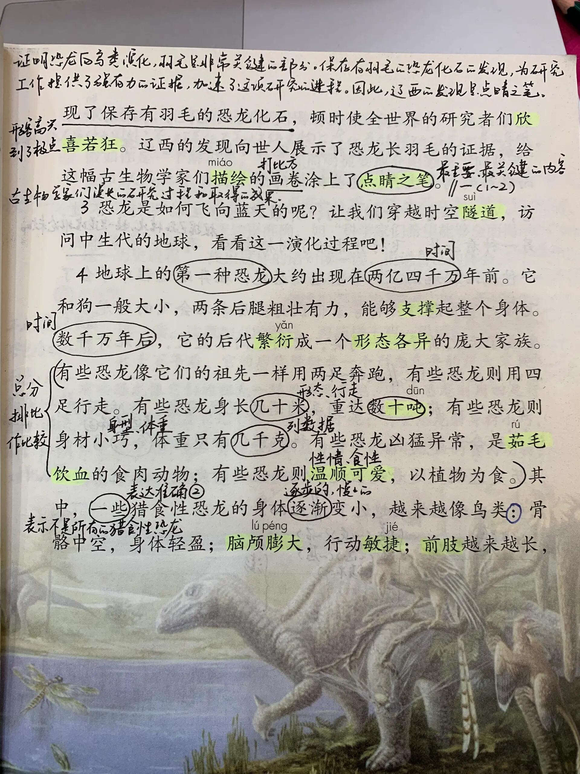 恐龙无处不在笔记图片