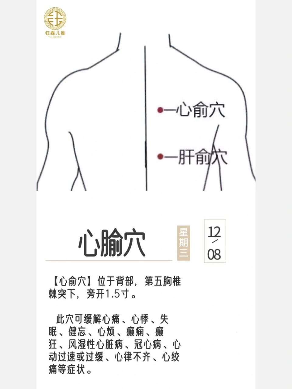 心俞的作用图片