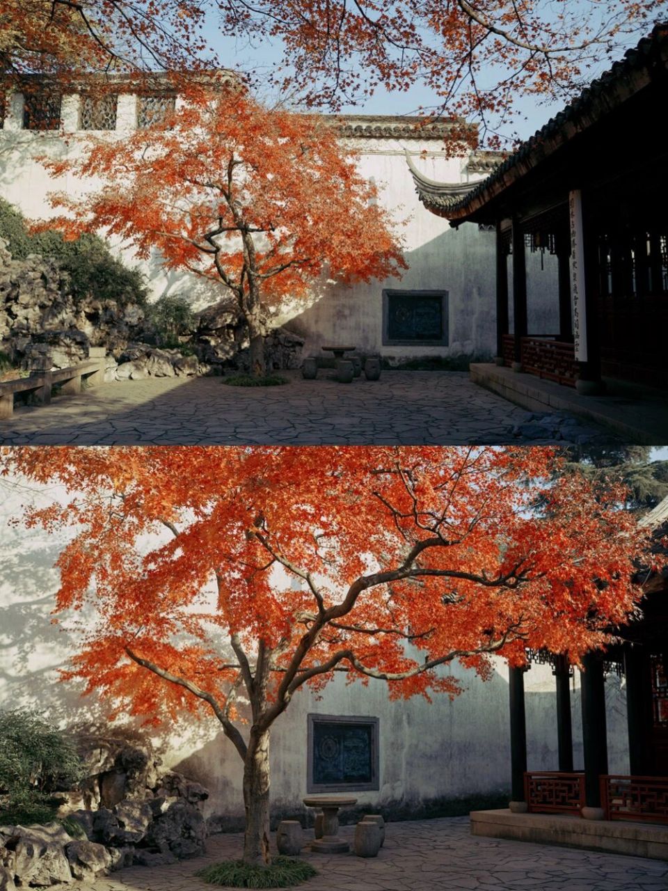 苏州醉美枫叶之环秀山庄 | 苏州园林 99每年都会去环秀山庄看一眼这
