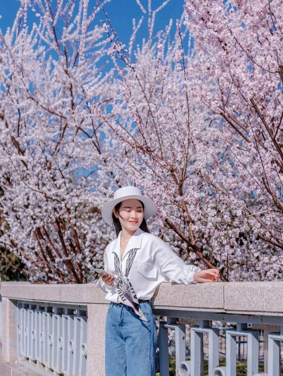 hi,我是柠檬 前两天十里堡山桃花97爆的场景历历在目,追花达人柠檬