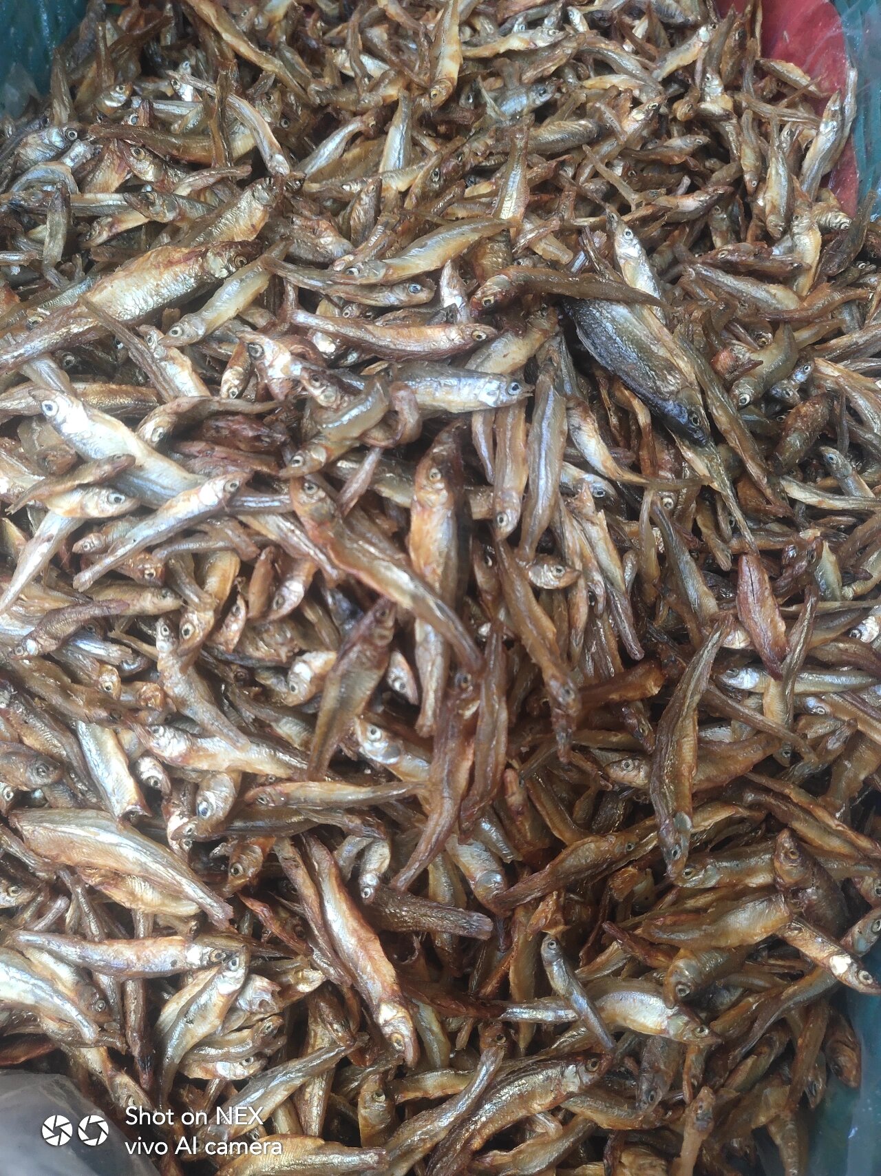 东江鱼是湖南郴州四大特产之一.