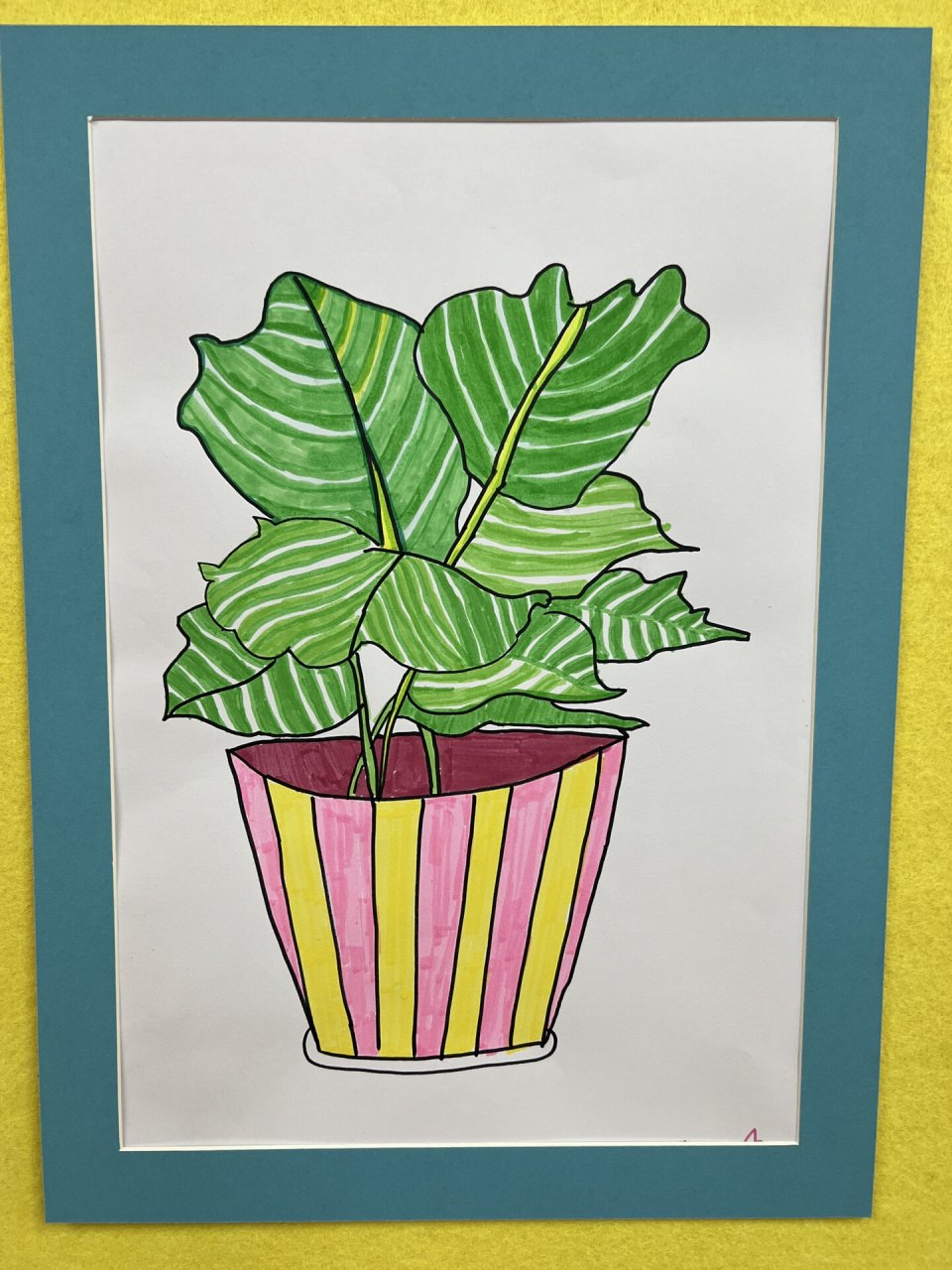 四年级植物写生下册图片