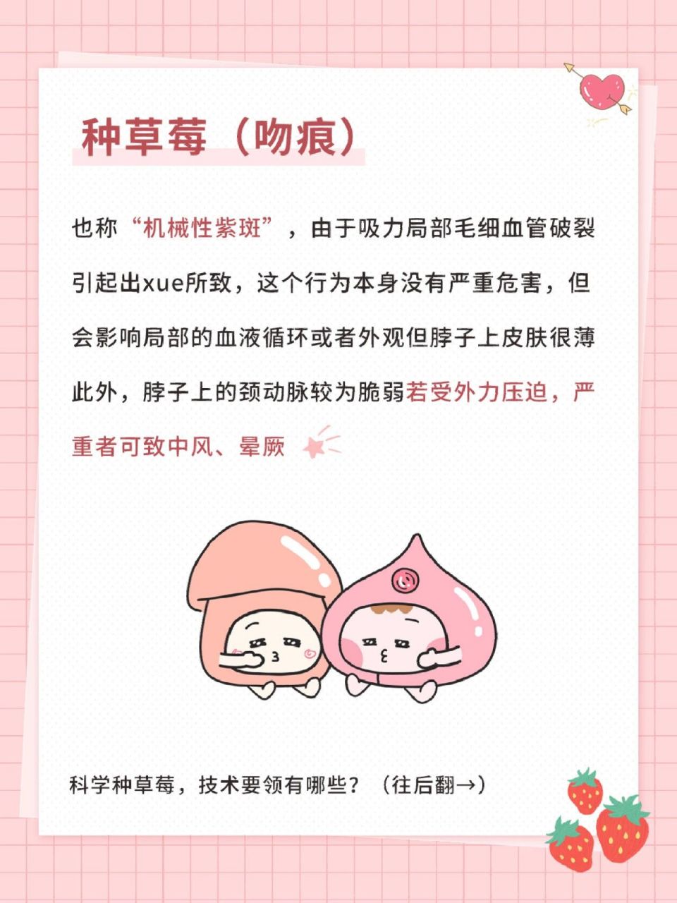 情侣必看!种草莓也要注意科学方法 种草莓有风险,快告诉你对象