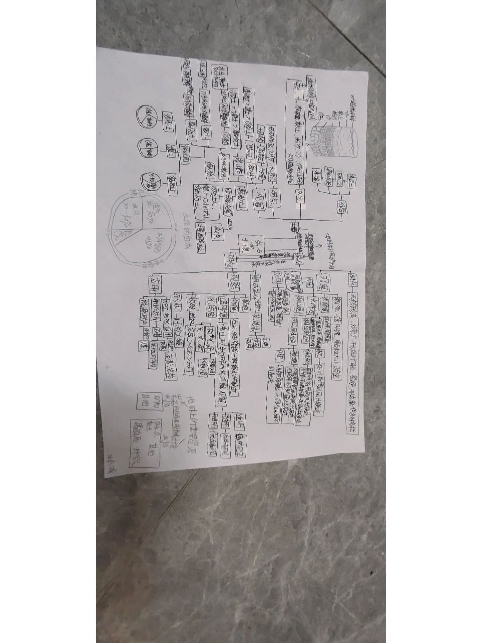 四下科学第三单元思维导图