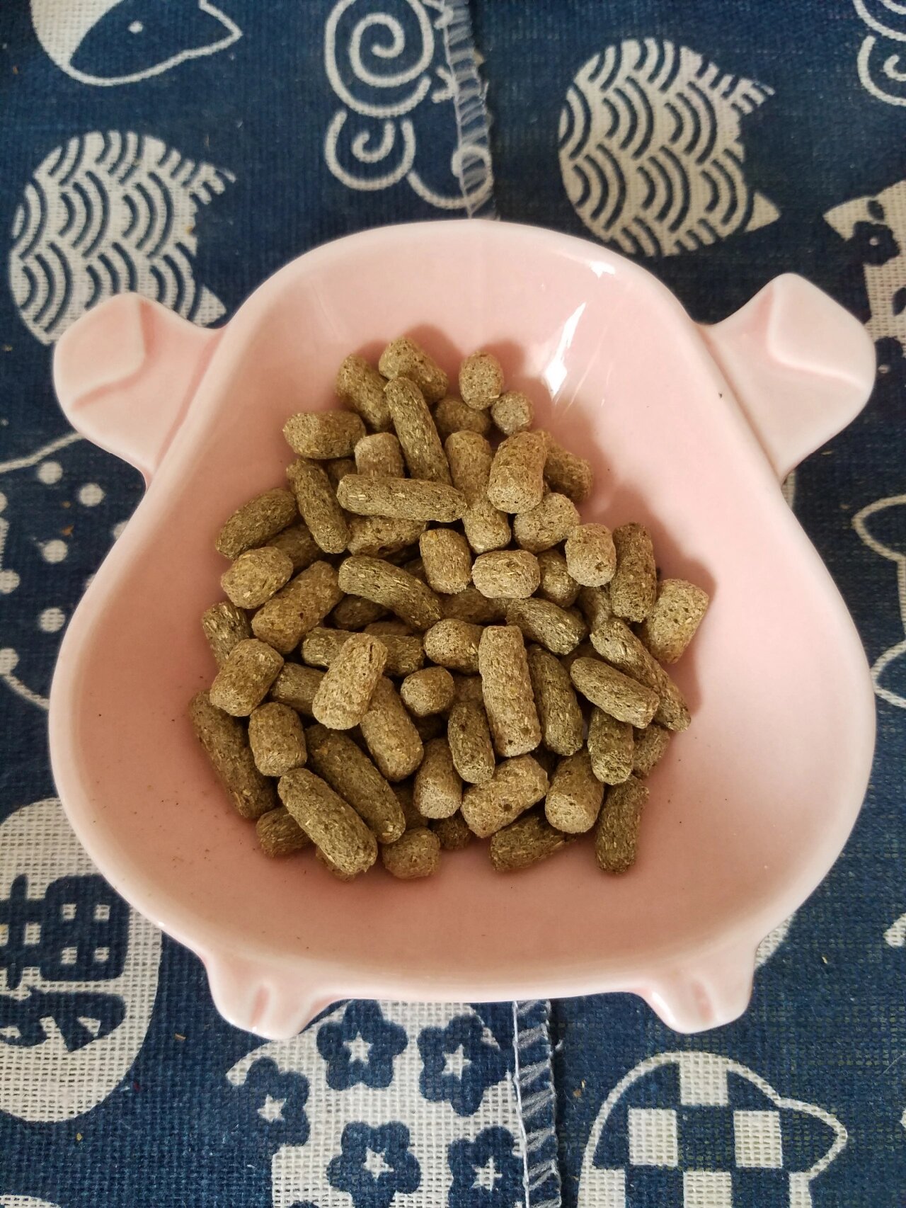 仓鼠主粮介绍【侏儒篇】