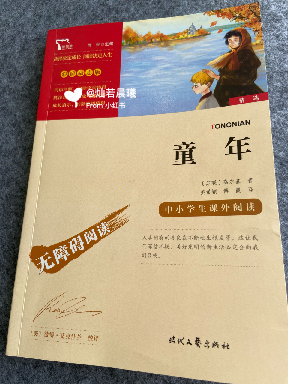 准六年级必读书目《童年》思维导图来啦～ 记录下今年的暑假作业,刚刚