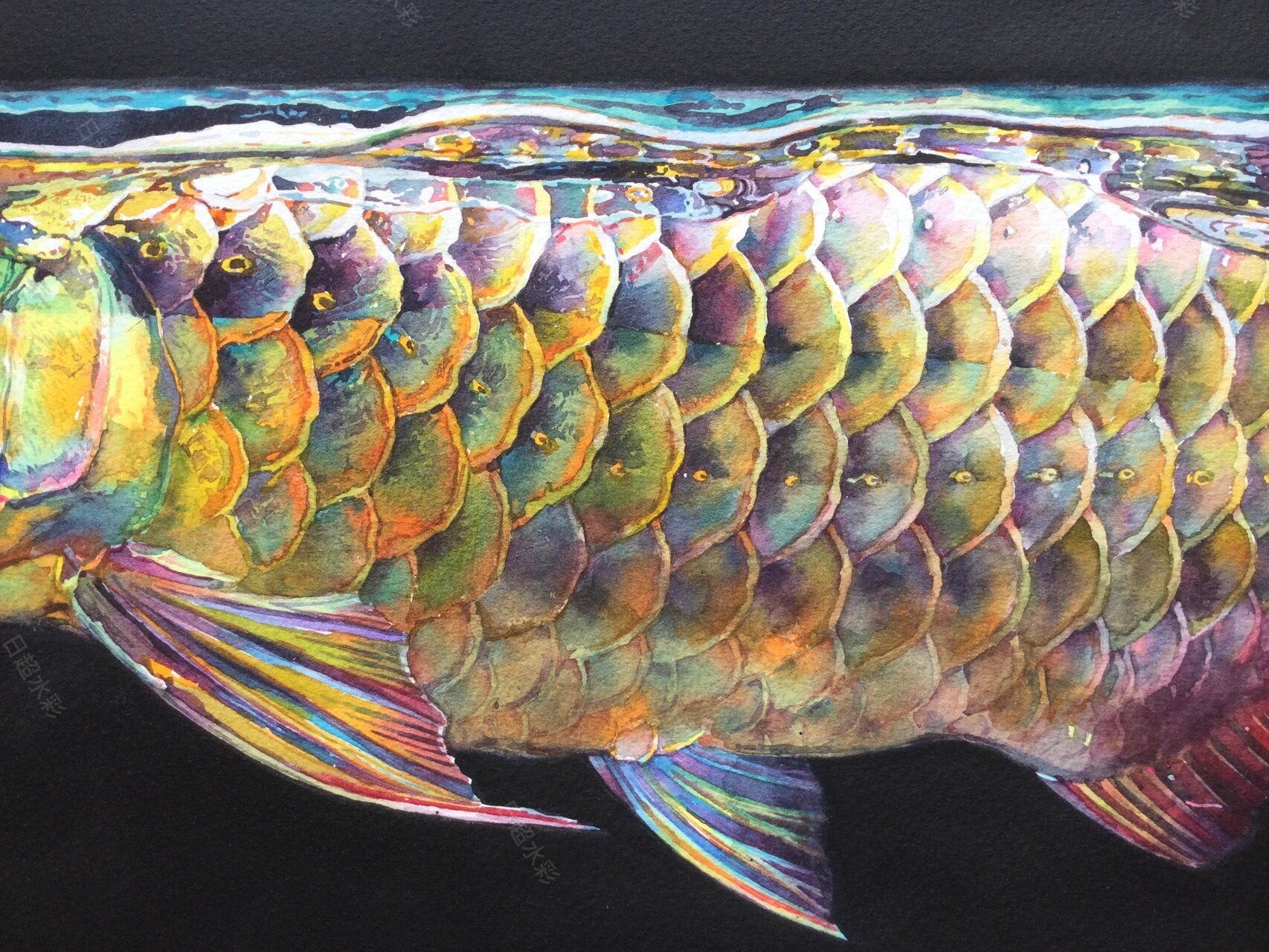 近期画作:《金龙鱼》 尺寸:56×76厘米,材质:300克英国获多福水彩纸
