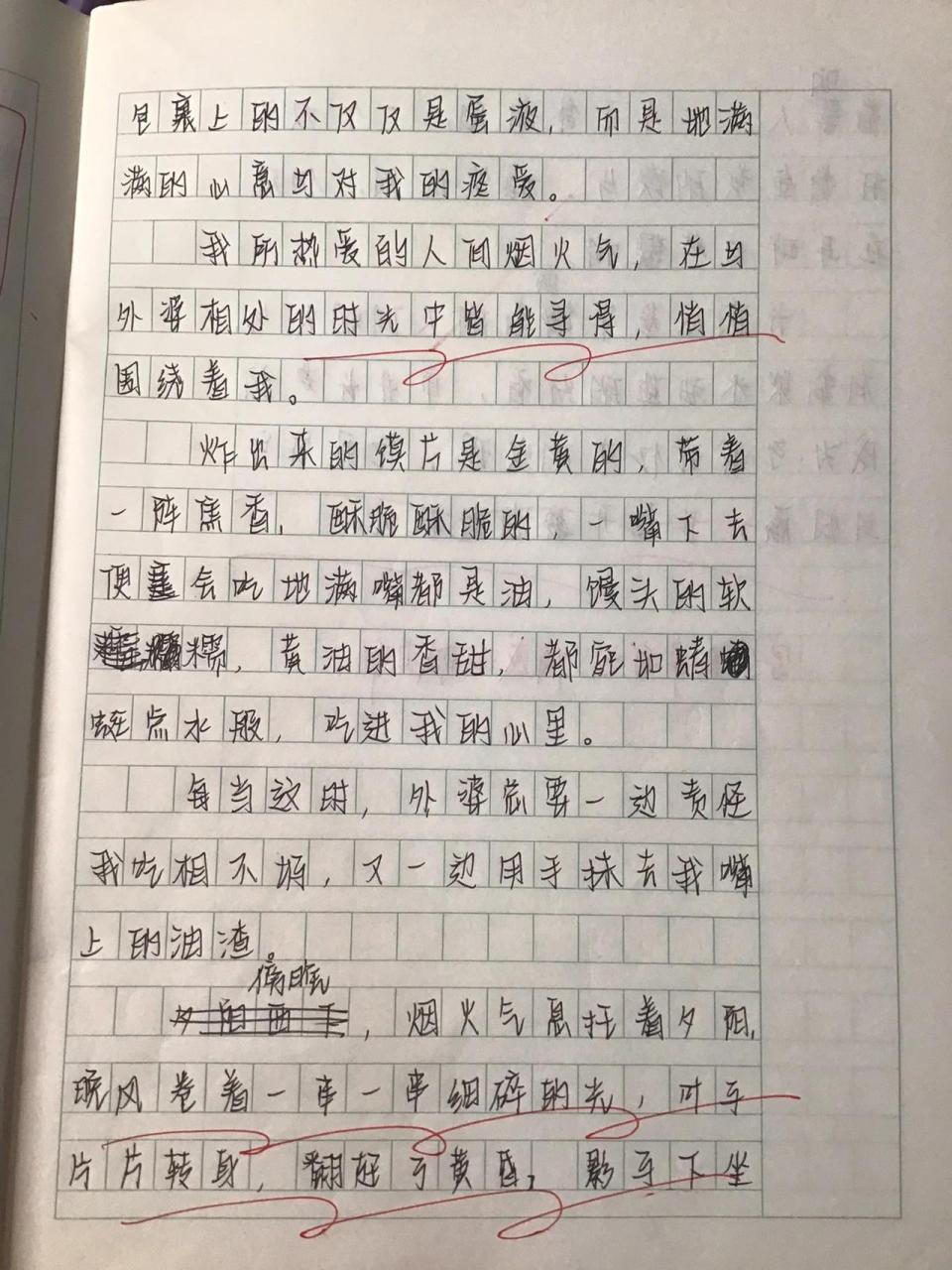 优秀作文600字初二图片