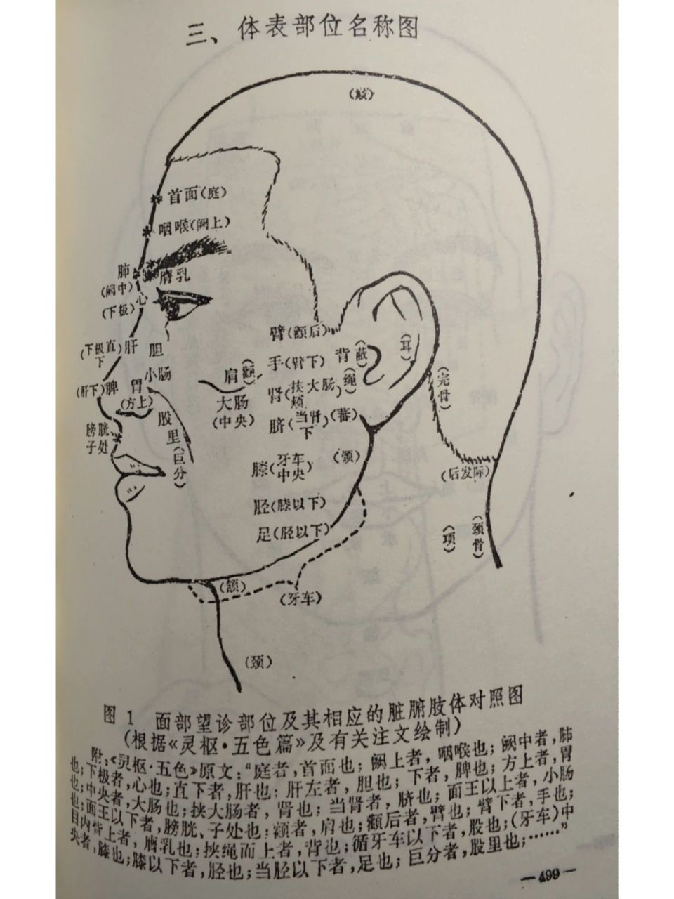 头部位图解大全图片图片