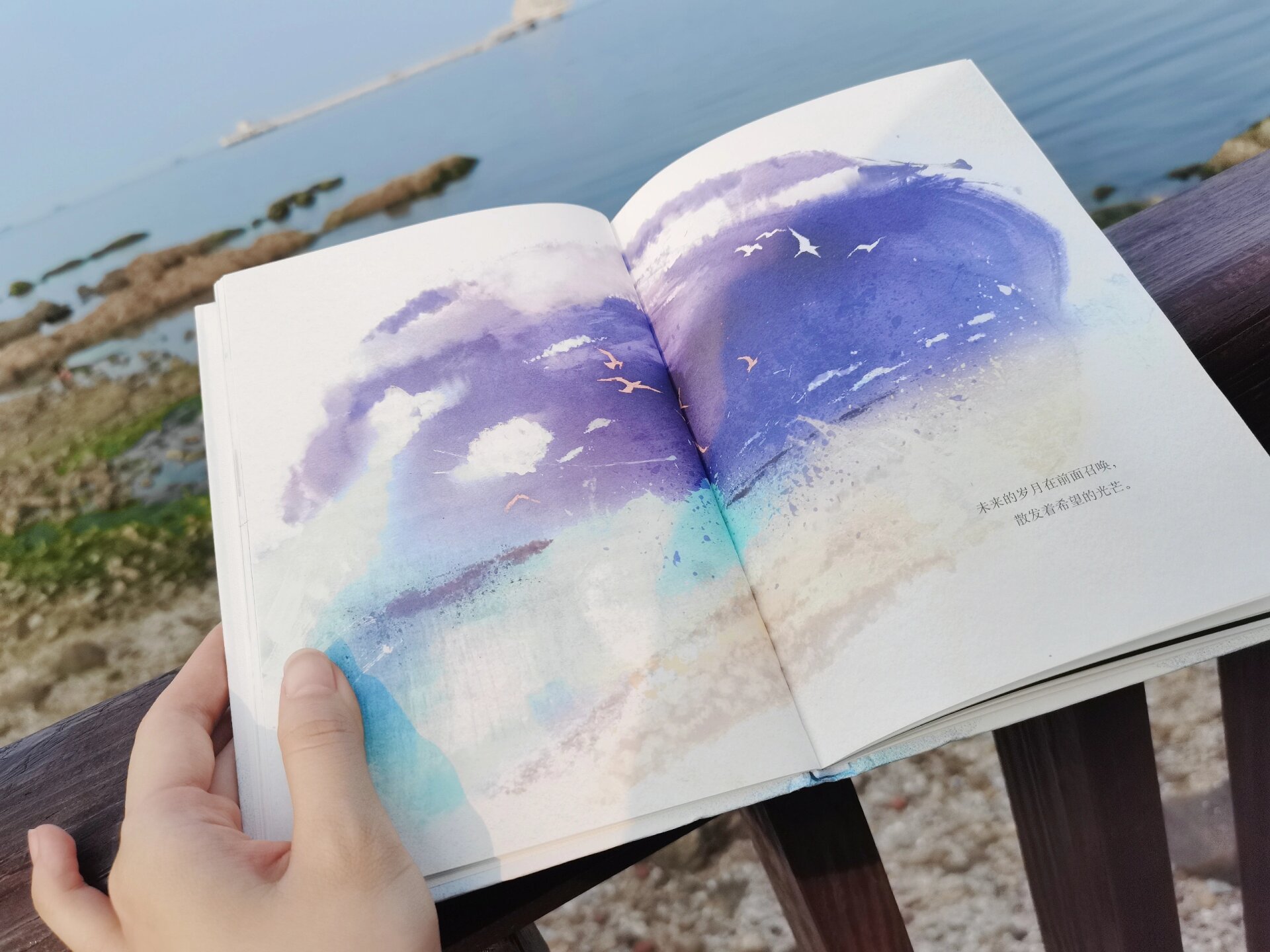 一部自由的终极寓言 98书籍:《海鸥乔纳森》 作者:理查德·巴赫