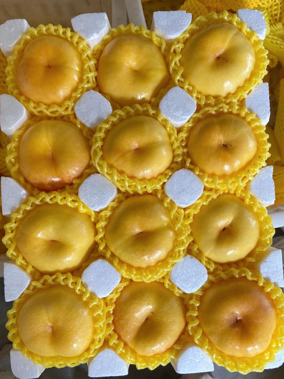 一些关于黄油蟠桃618的说明~ 黄油蟠桃六月20左右开始成熟,马上迎来