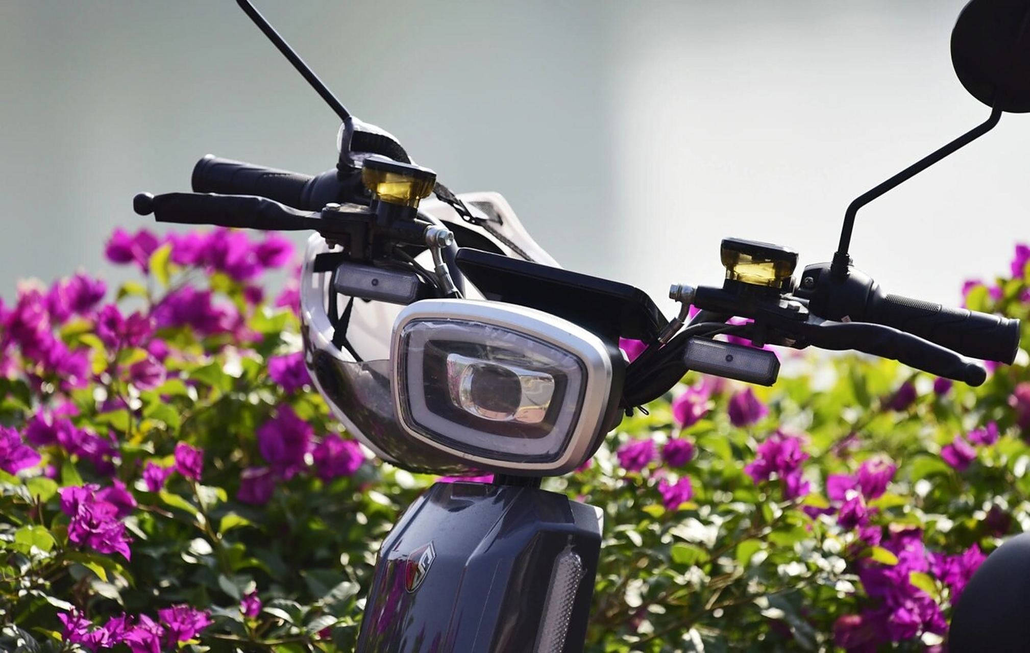 尼康轻便300mmf4e pf定焦镜头340pf测试 尼康300mmf4e pf比尼康300mm