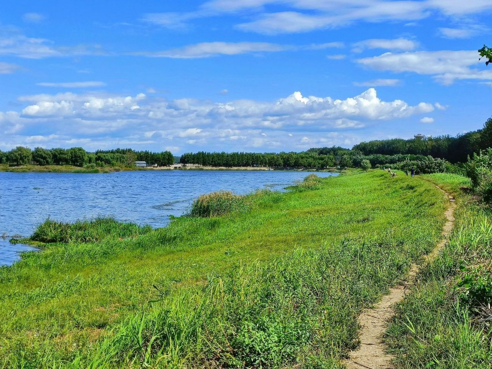 开车45分钟‖昌平沙河水库 免费的就是最棒哒 推荐指数781578