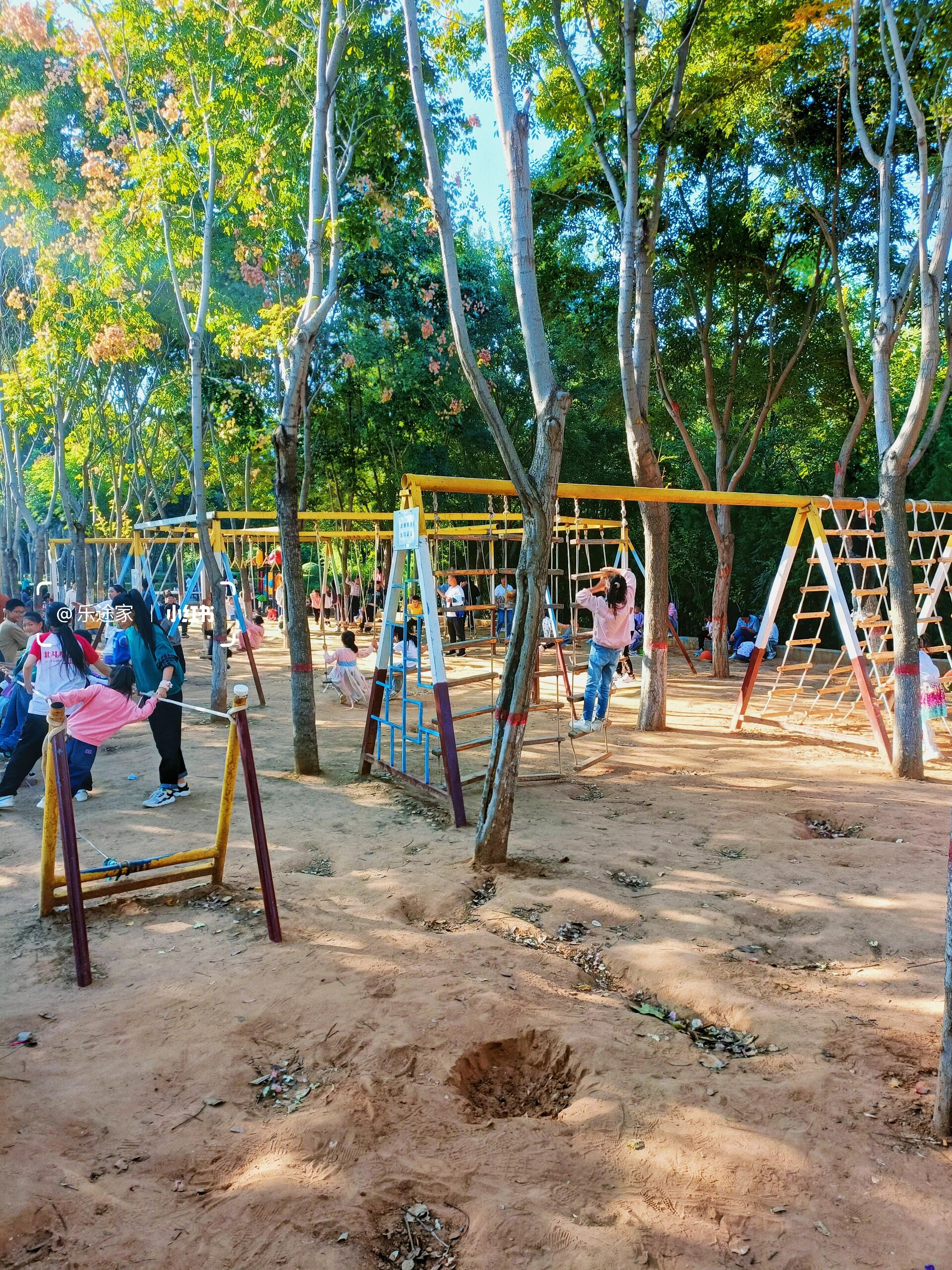 郑州99%都不知的公园藏着粉黛花海迷宫乐园 带娃逛公园真的是秋天低