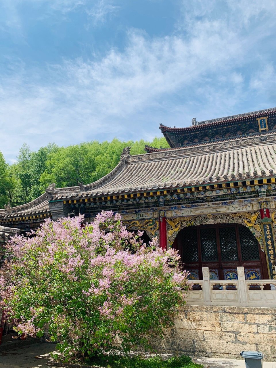 朝台路上被忽视的漂亮寺庙:金阁寺 我第一次去五台山就在金阁寺旁边