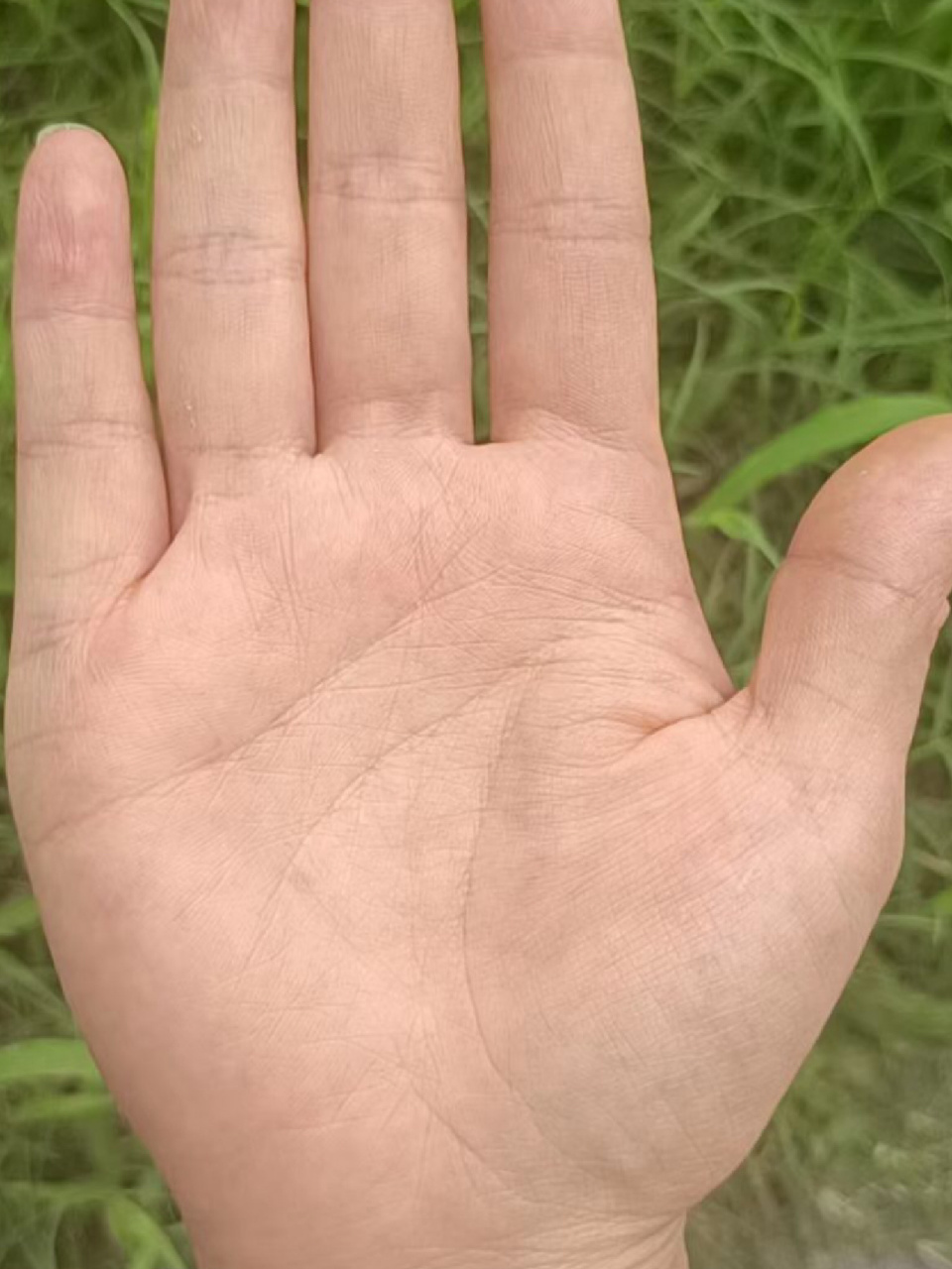 手相的讲解 中看你的子女缘分浓厚,小拇指偏斜与无名指,掌面气色红润