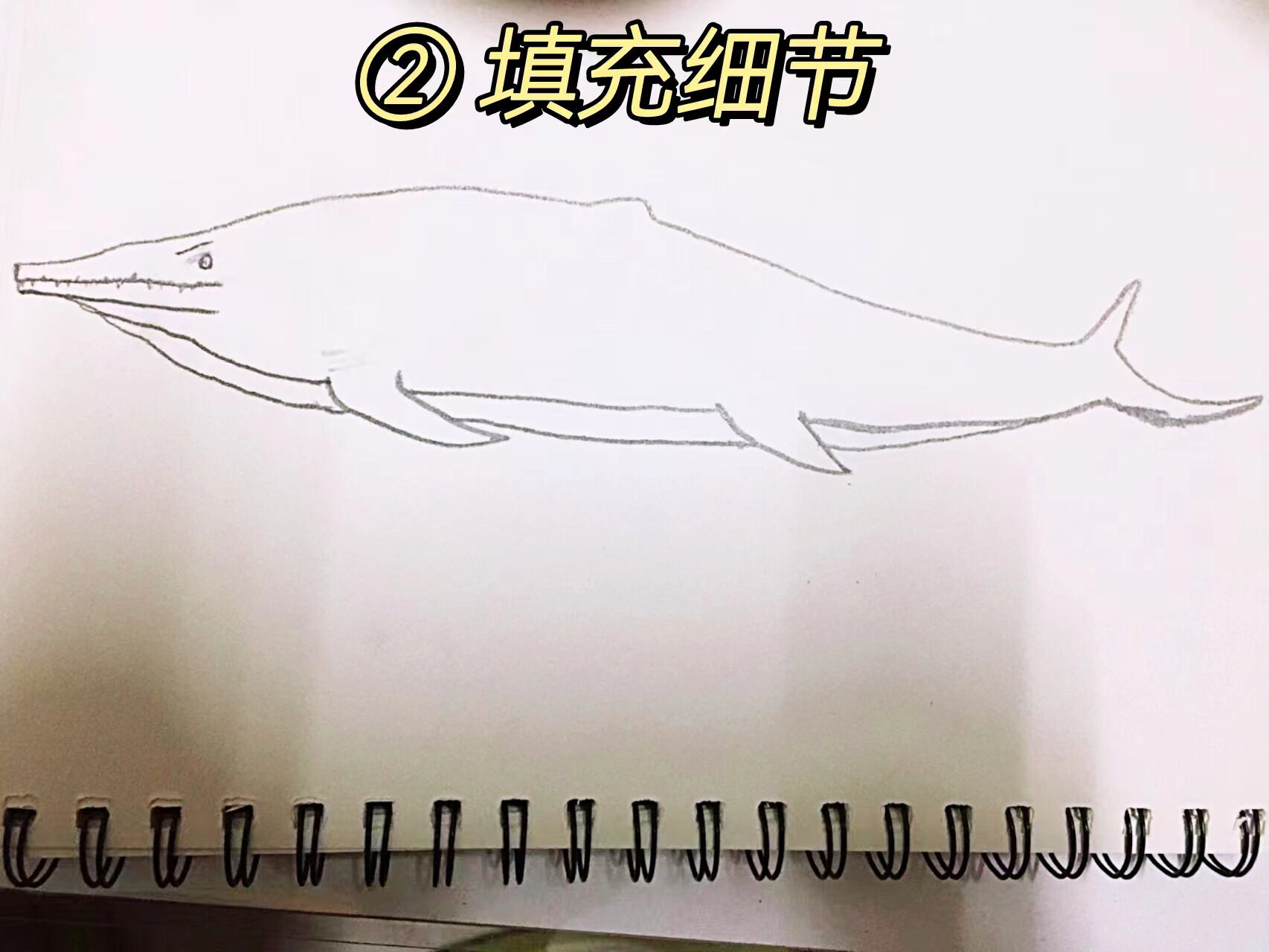 简笔画98喜马拉雅鱼龙