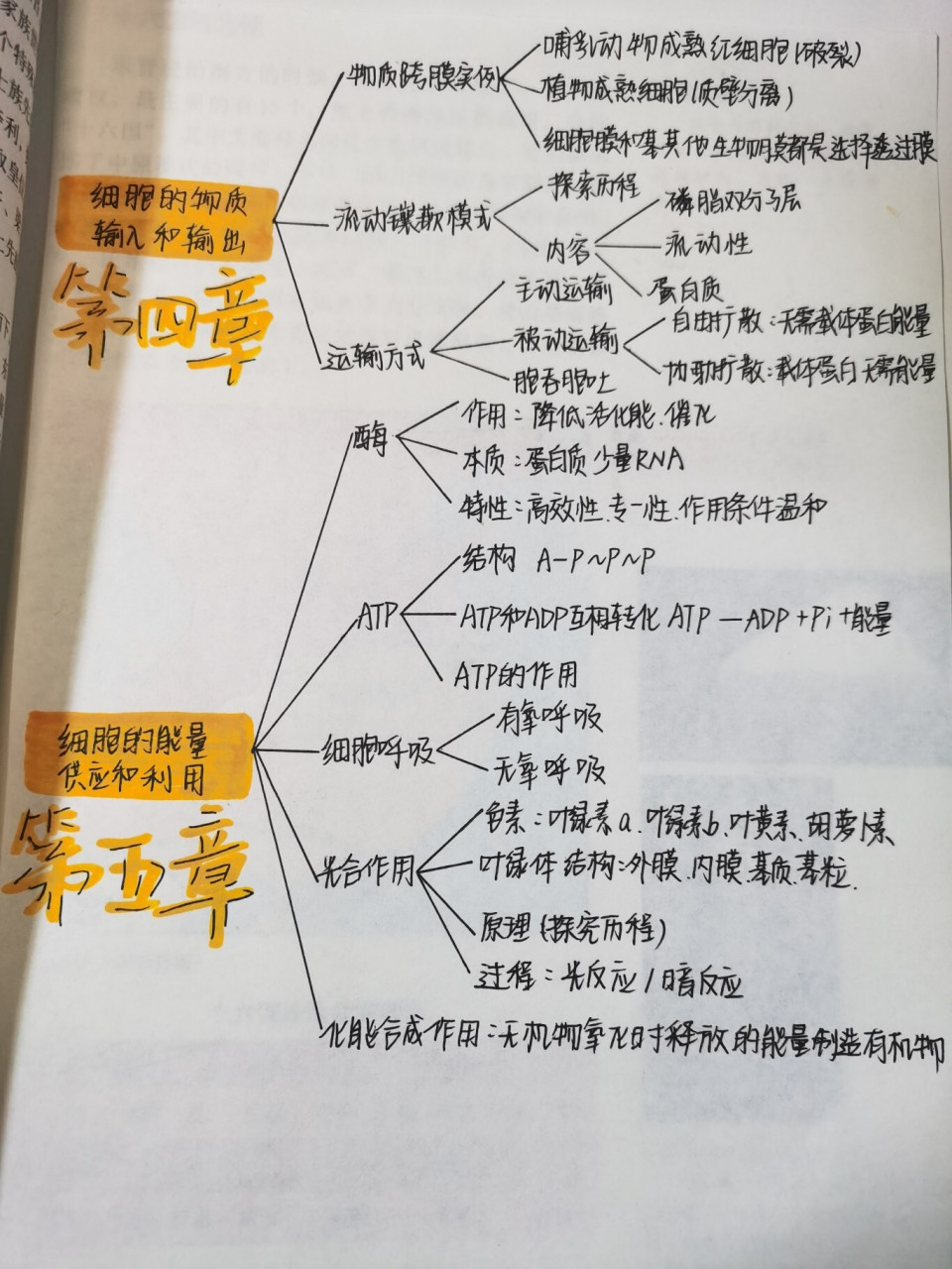 高中生物必修一笔记思维导图 高中生物必修一笔记思维导图