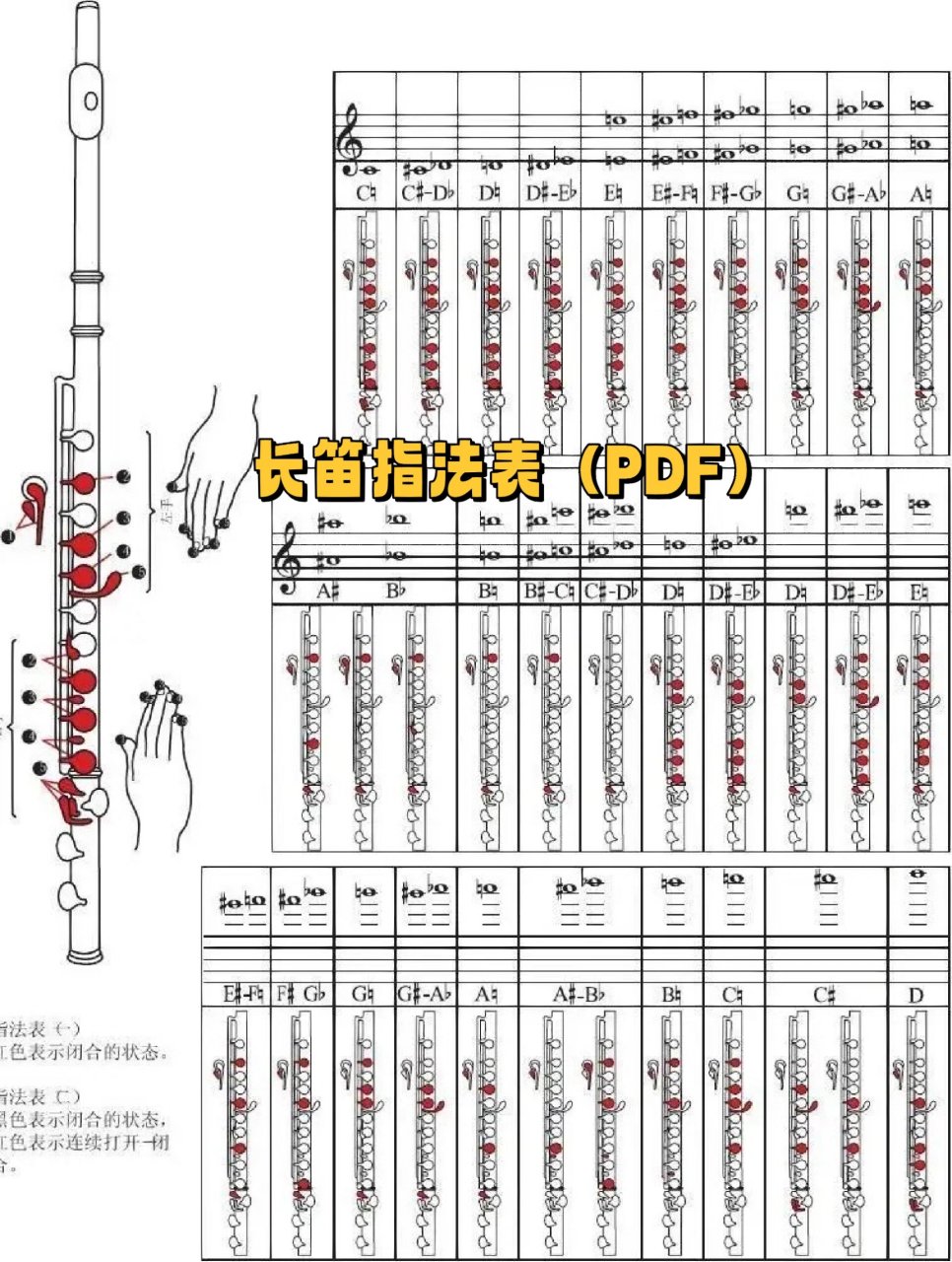 长笛高音mi指法图片