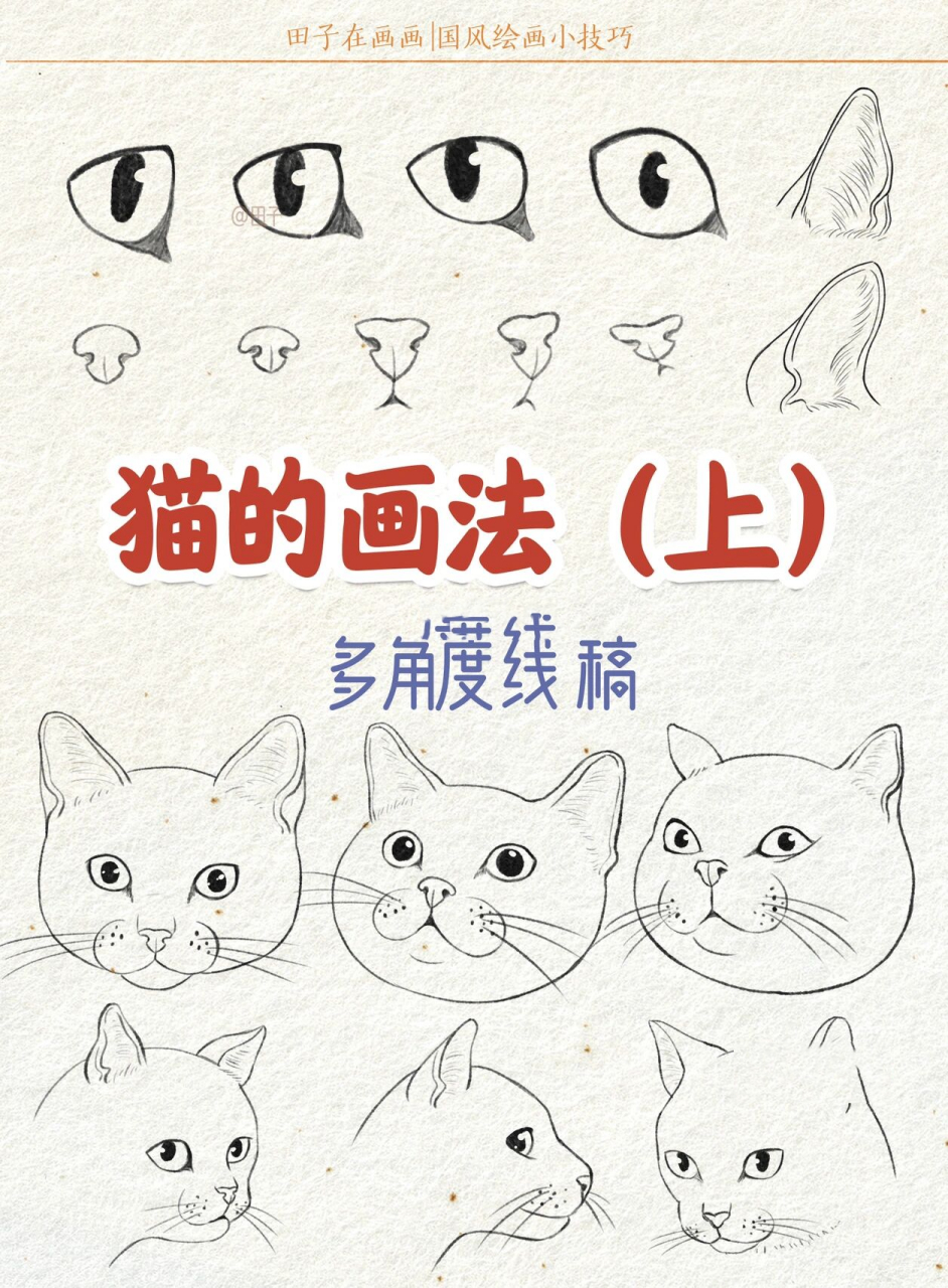 猫咪嘴巴怎么画图片