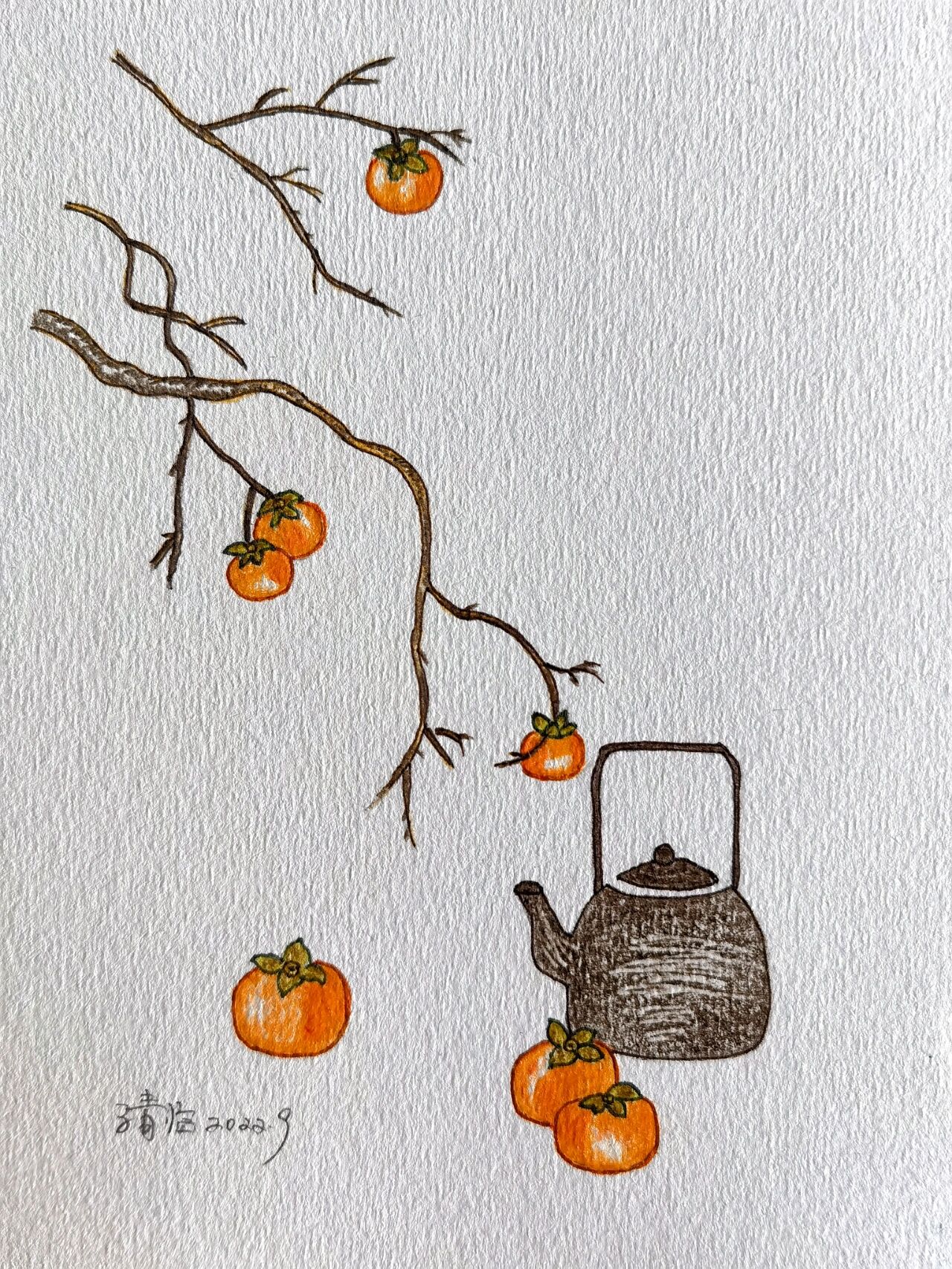 彩铅临摹:柿柿如意