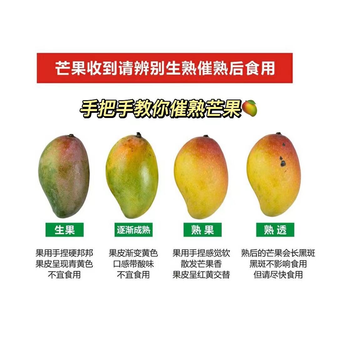 一眼看透芒果成熟度!