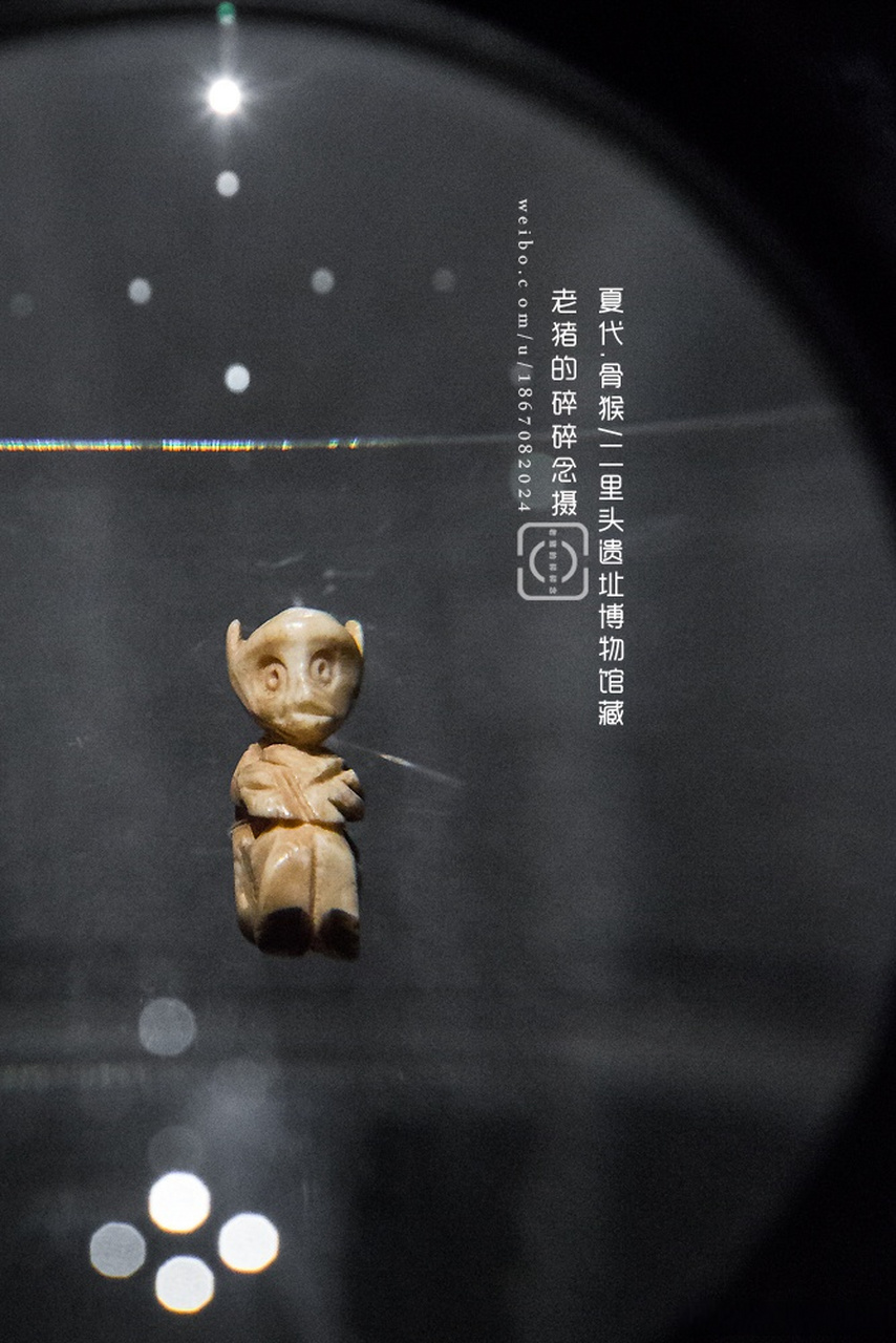 如无意外,这应是史上最老的猴子咯 夏代.