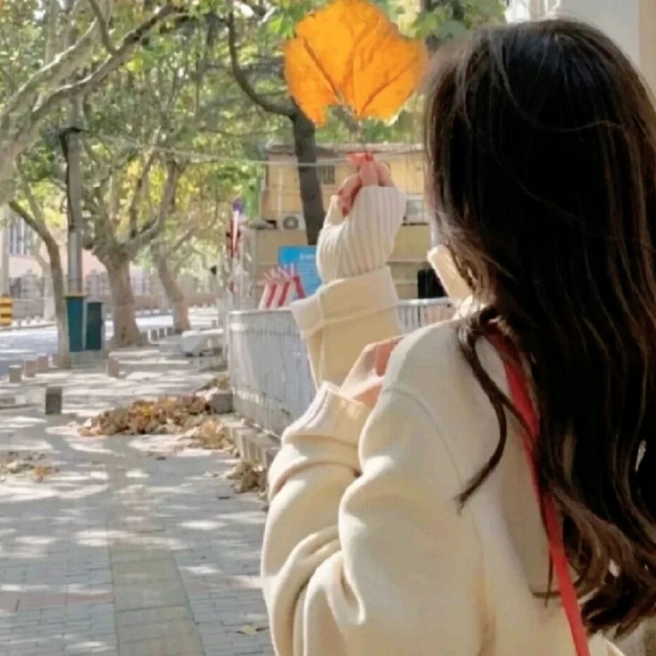 侧脸女头,yyds! 故事的结局总是配不上开头,why?