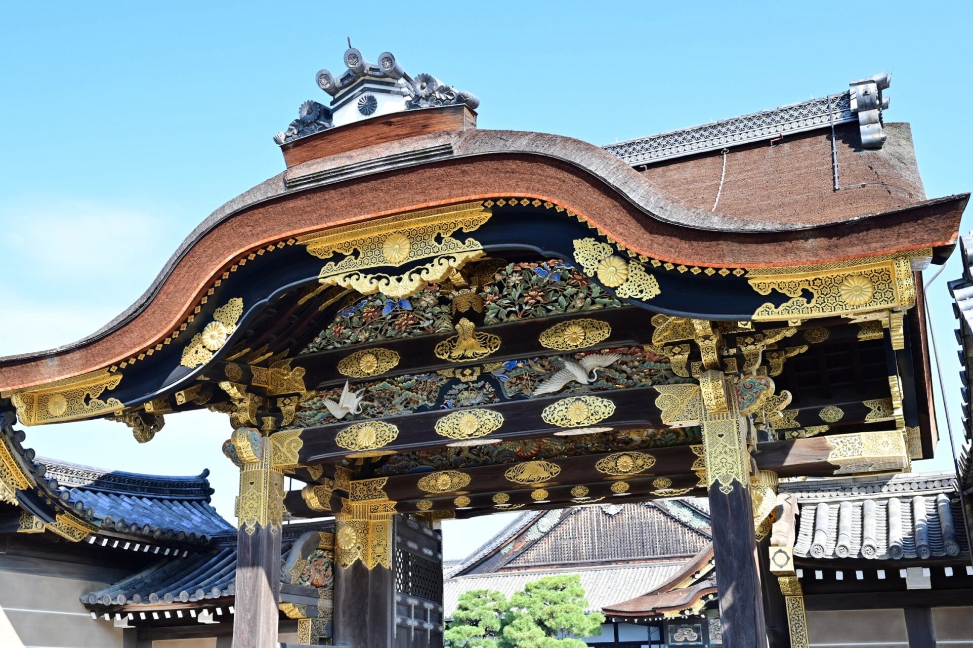 二条城值得看 二条城头次来,门票不便宜,1300,不过觉得非常值.