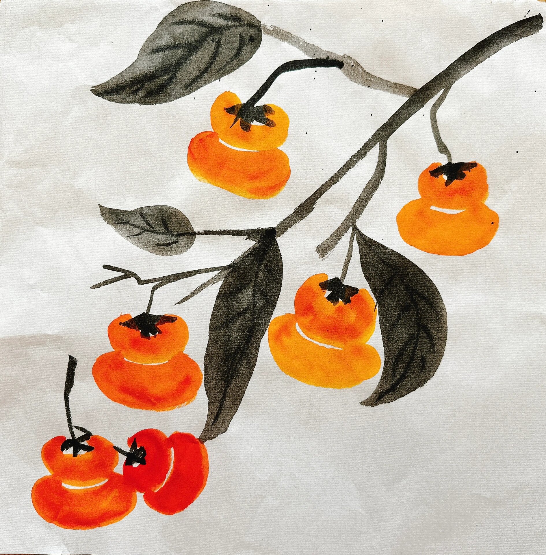 中国画水墨画柿子 中国画水墨画柿子