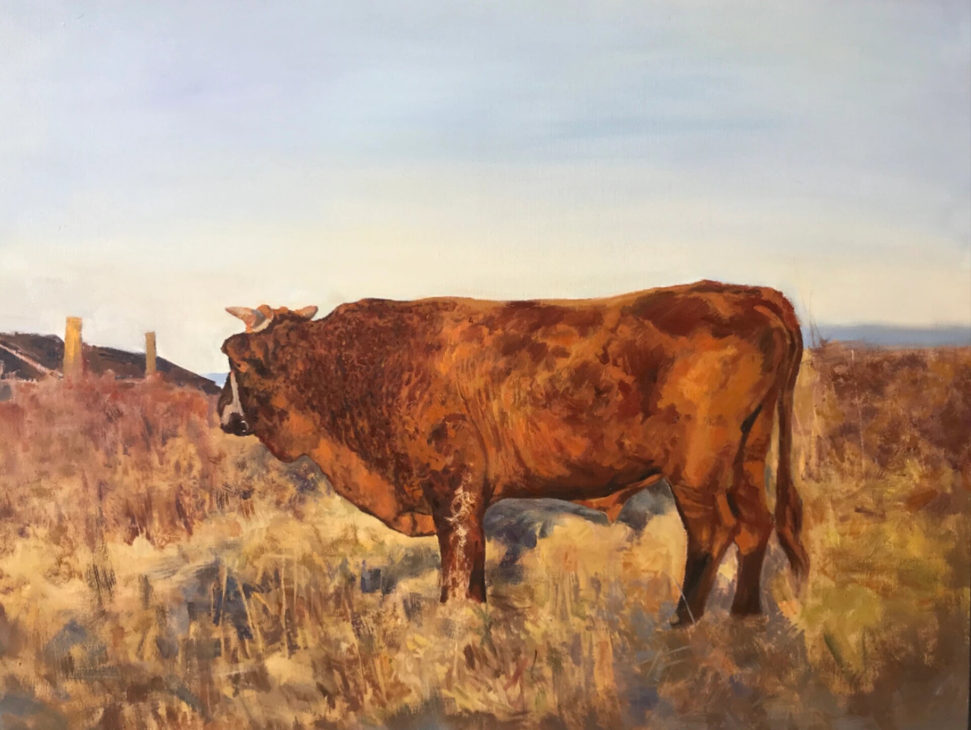 油画《老黄牛系列》