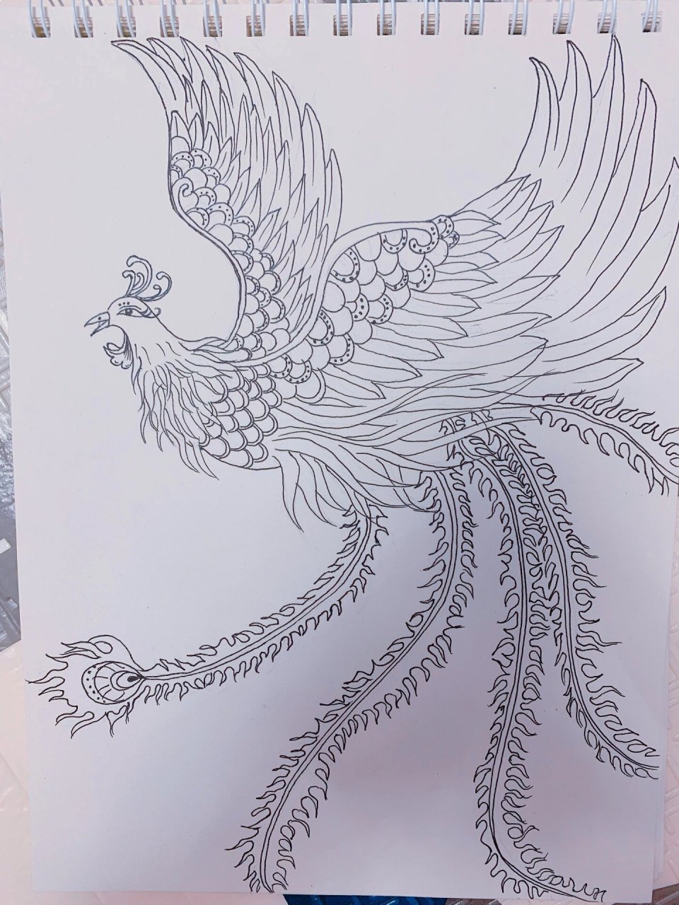 手绘凤凰 比较喜欢画鸟类,凤凰属于鸟中之王,最难画的应该是羽毛吧.