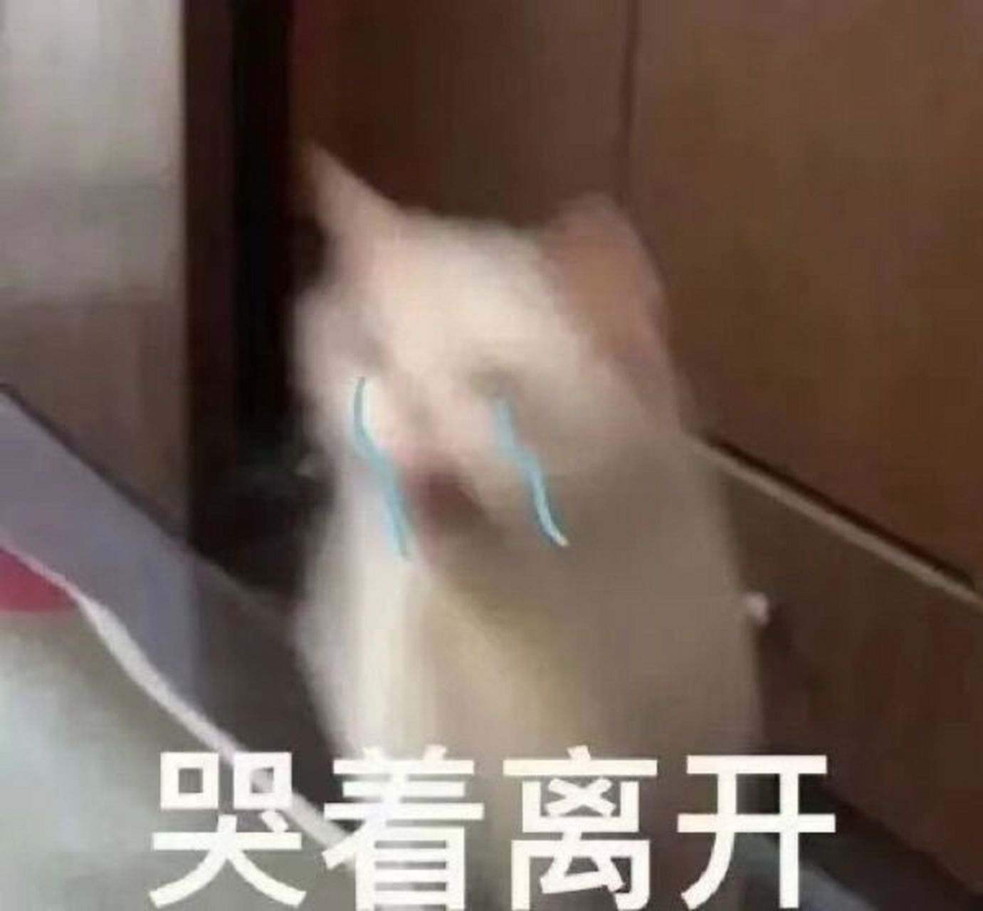 愤怒 哭泣 崩溃 生气 冷漠表情包