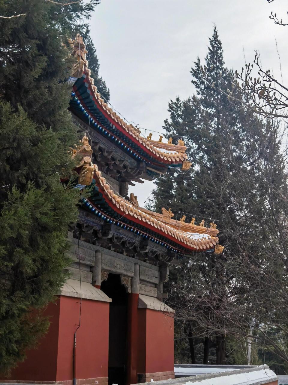 北京"十四陵"-景泰陵 景泰陵,位于北京市海淀区玉泉山北麓金山口,是