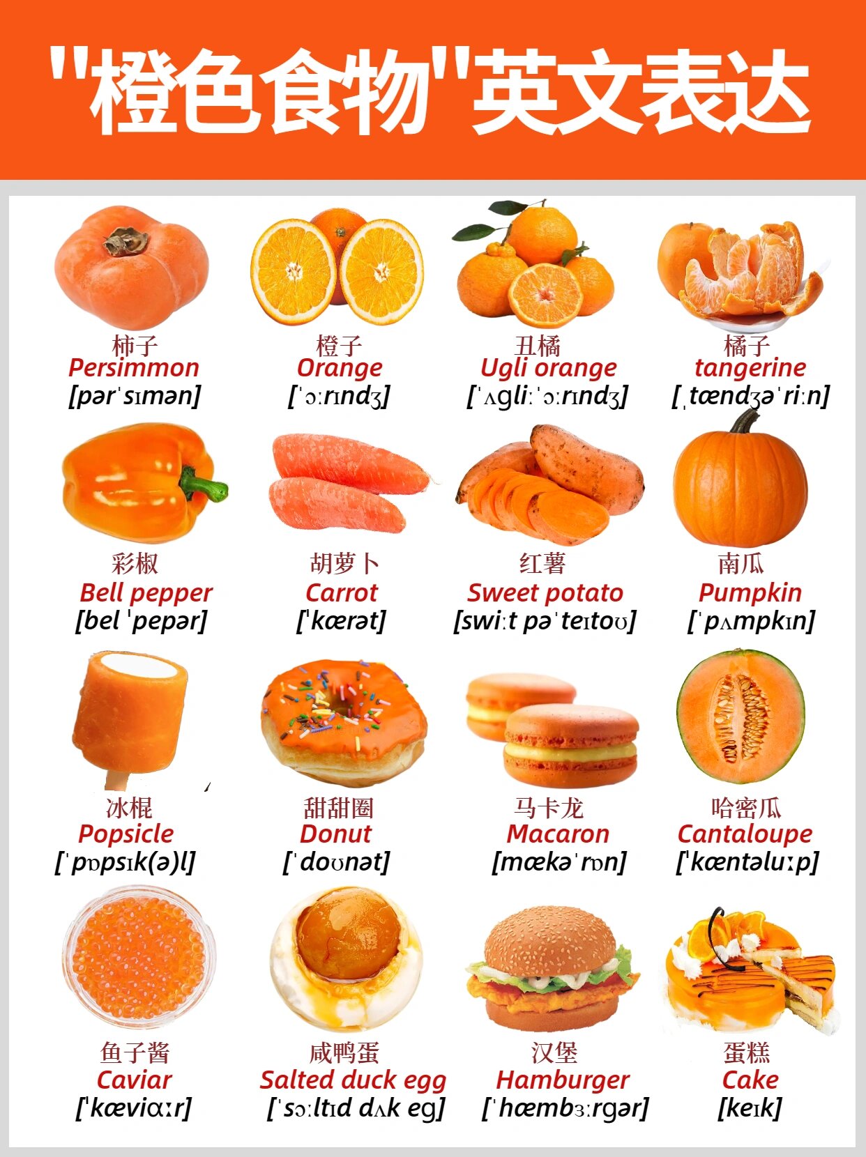 橙色食物英语单词合集