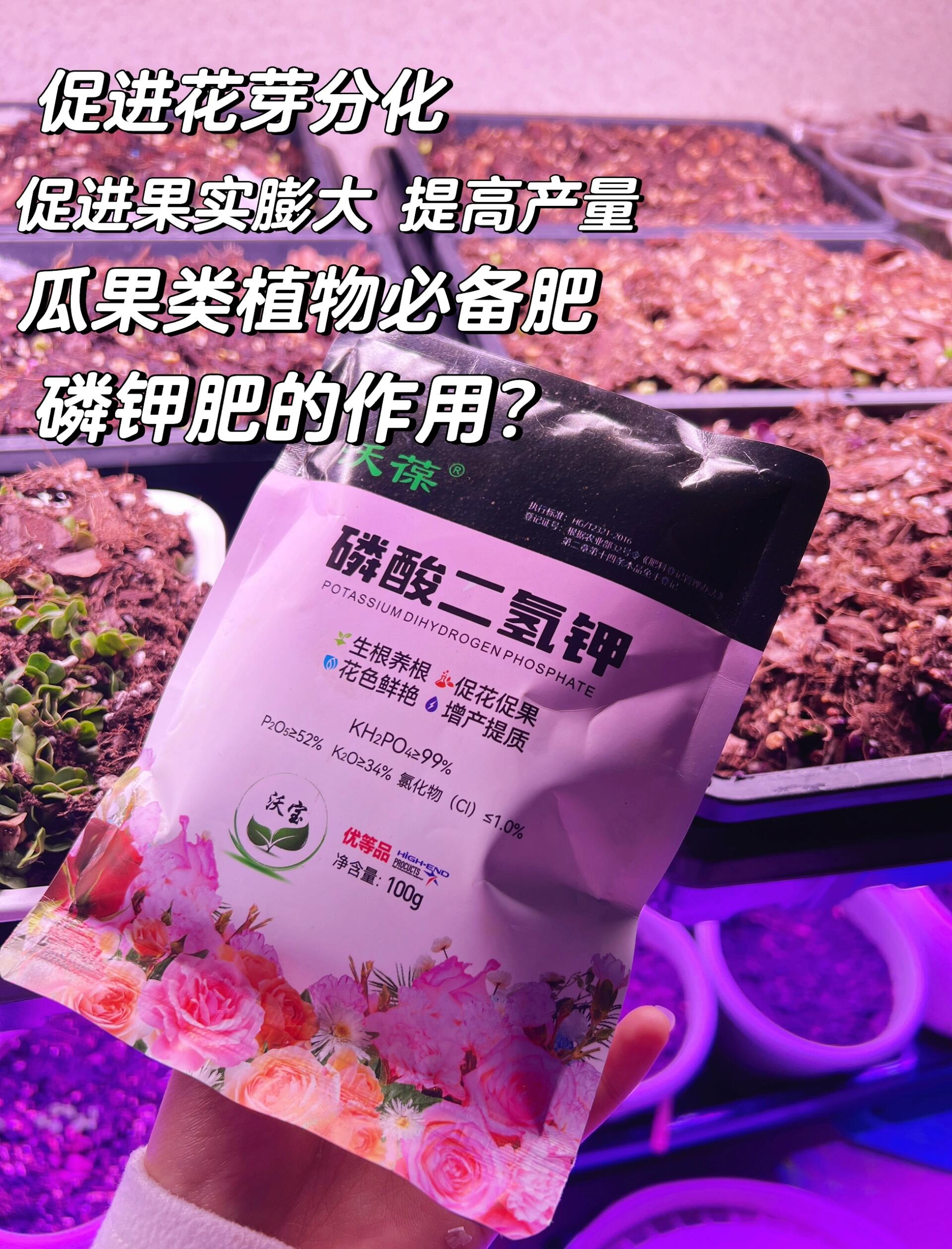 瓜果花卉必备肥磷酸二氢钾使用方法注意事项