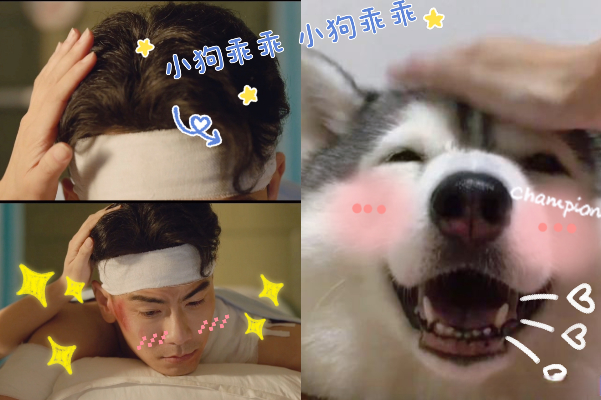 戴向宇##戴向宇肖燕新剧好甜# 嗯?二哈系男友?