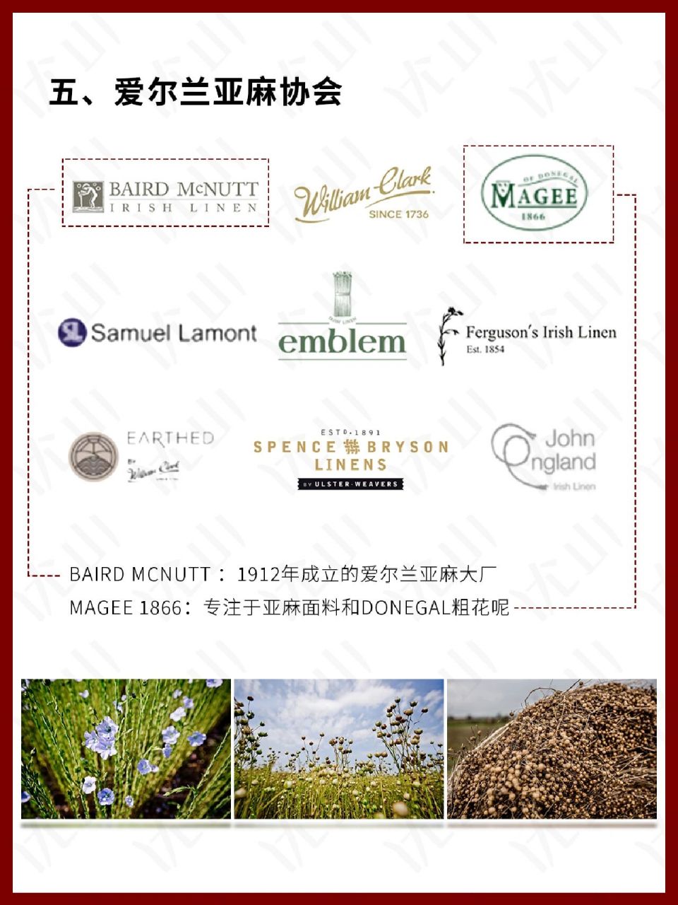 著名的"西欧亚麻带",跨越荷兰西南,比利时西部,法国西北 三,顶级亚麻