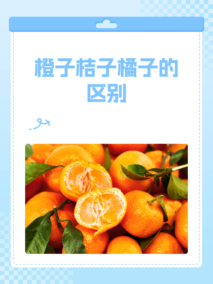 橙子桔子橘子的区别