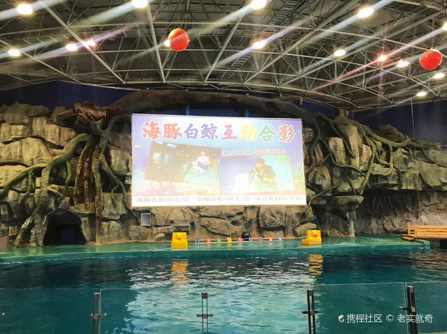 这是位于山东威海市的一家海洋馆