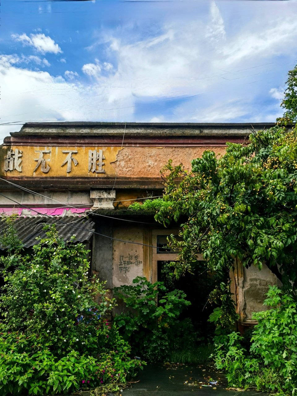 2023年乡村打卡～～～金灶镇柳岗村 所属地区汕头市潮阳区金灶镇北部.