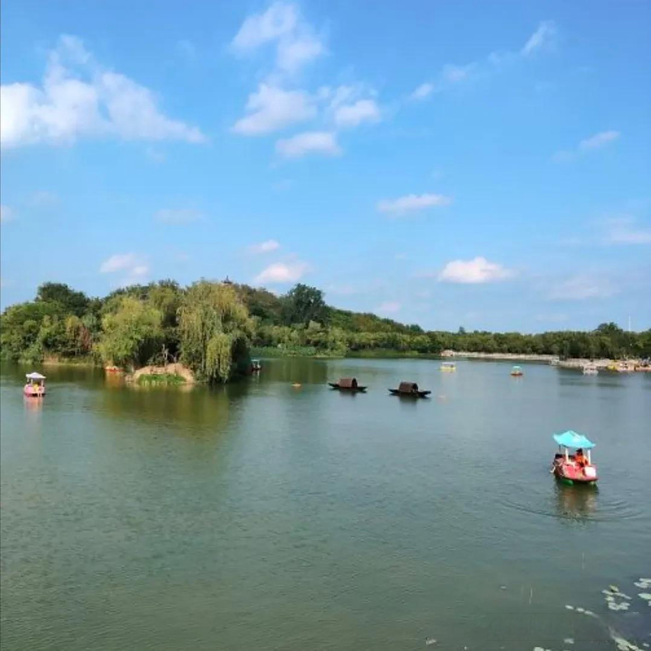 中华槐园位于河南省周口市沈丘县行政新区北侧,北邻g36宁洛高速,是