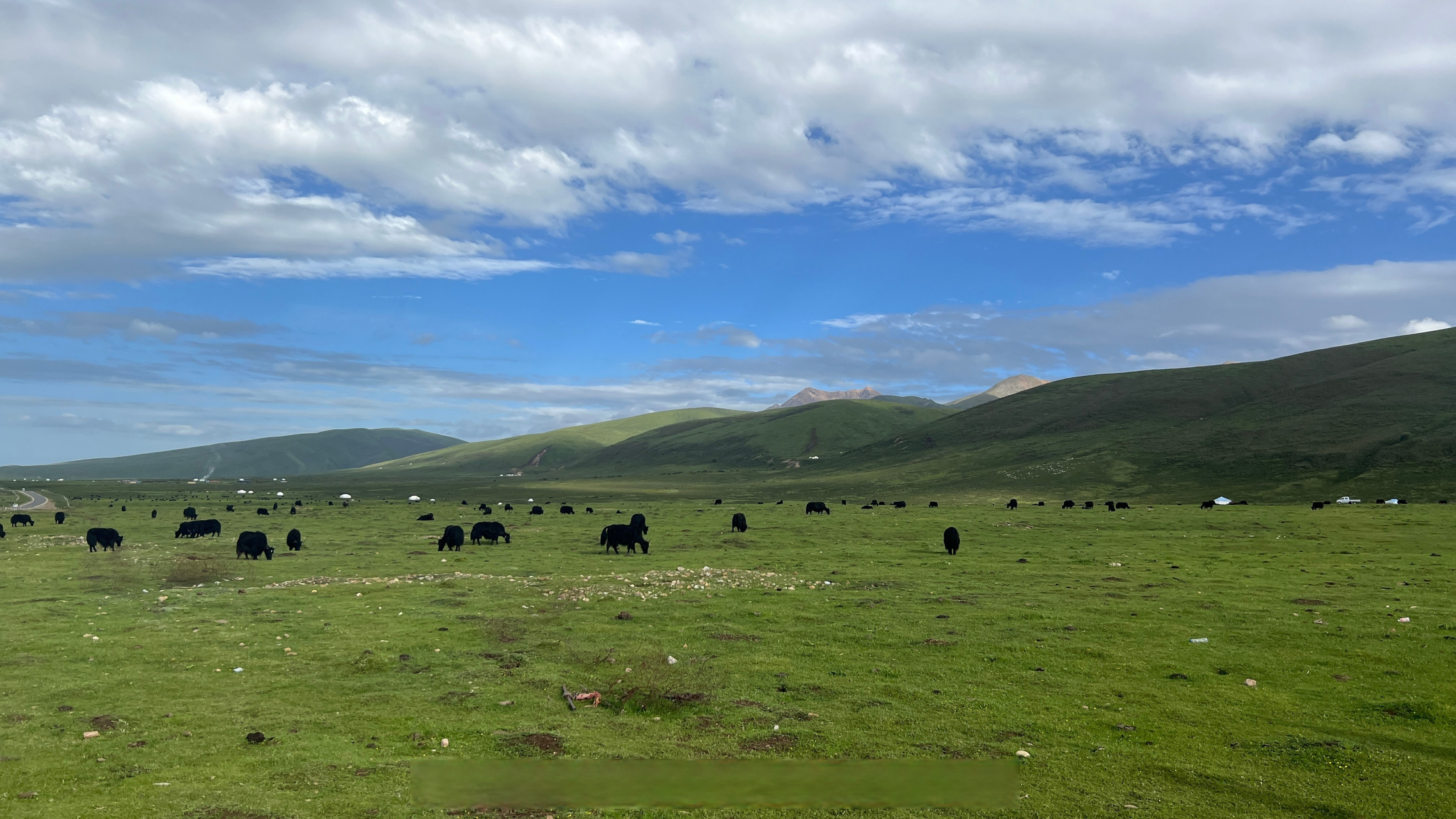 玛曲县欧拉秀玛乡第六届西梅朵塘旅游艺术节