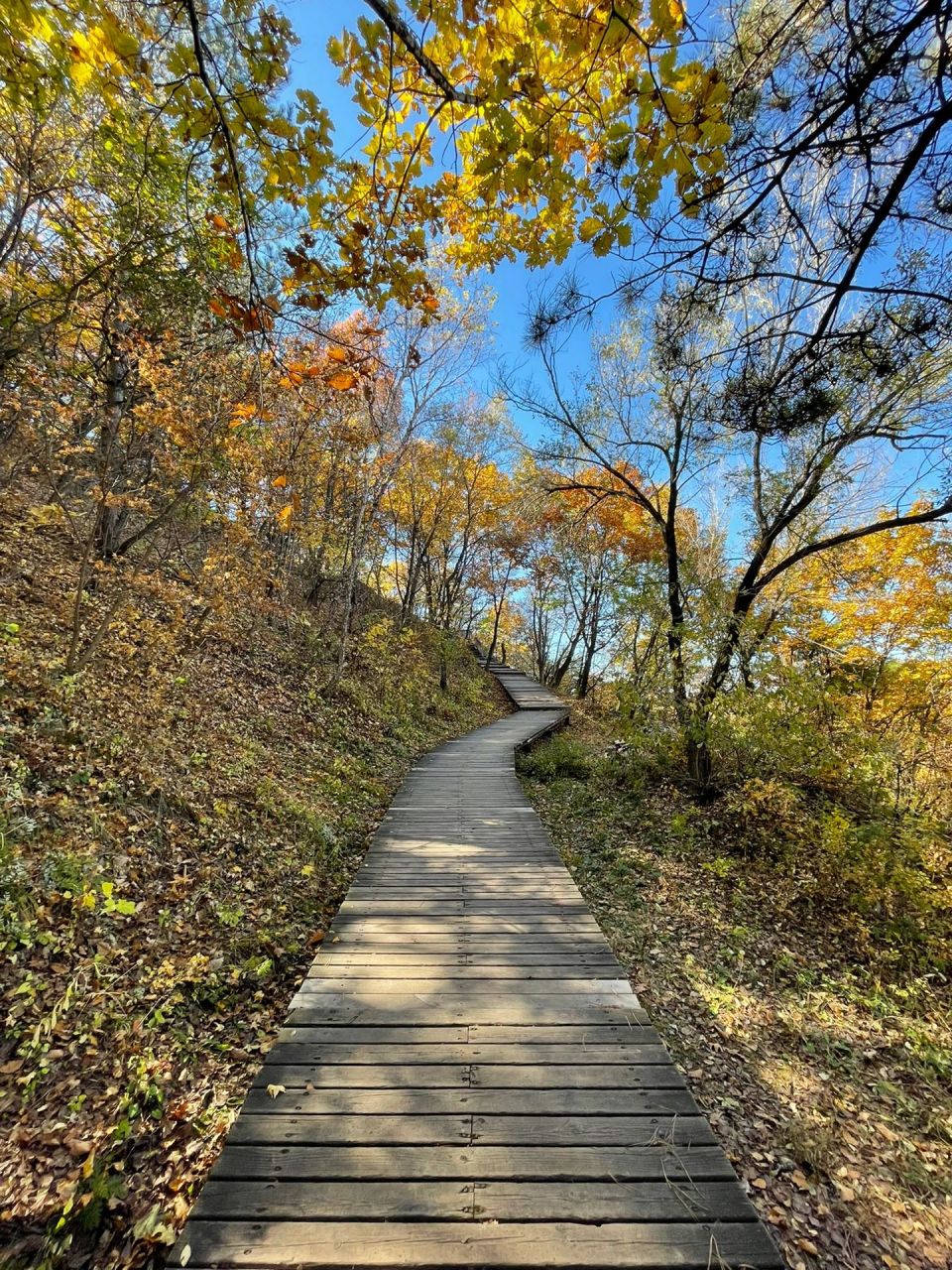 延边帽儿山风景区图片