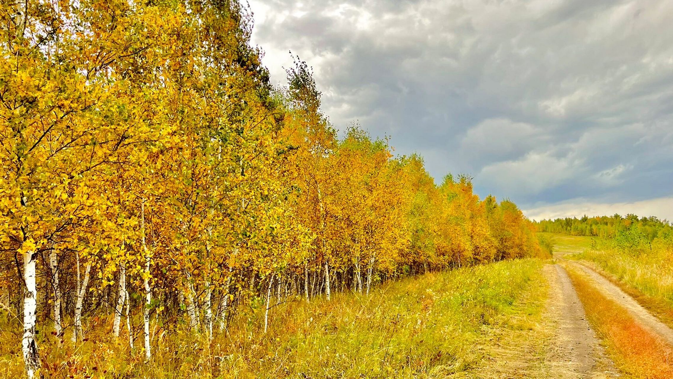 1 海拉尔出发前往扎兰屯,途径喇嘛山风景区,中东铁路遗址,参观吊桥